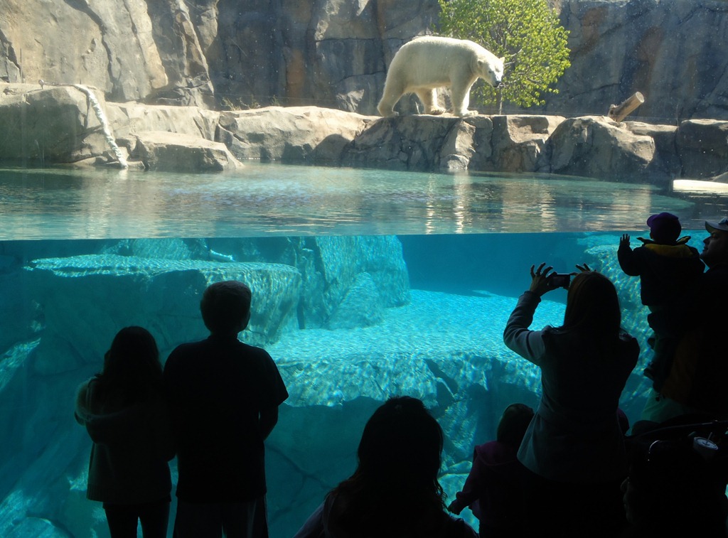 [2012%2520Apr%2520Brookfield%252012%255B5%255D.jpg]