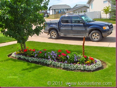 When Planting The Flower Beds Objective Is Bolder Better Flamboyant Colour Choices And Vivid Hues Are HUGE In A Victorian Garden When Planting The Flower Beds Objective Is Bolder Better Flamboyant Colour Choices And Vivid Hues Are HUGE In A Victorian Garden