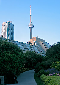 IMG_6133.jpg