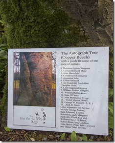 03.Árbol de los Autógrafos