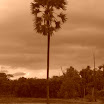 CIMG0030.JPG
