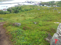 12 - 61 Photo