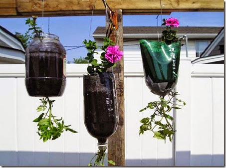 pop-bottle-planters-537x398