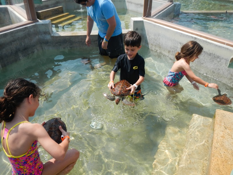 [DSCN0133-43%255B3%255D.jpg]