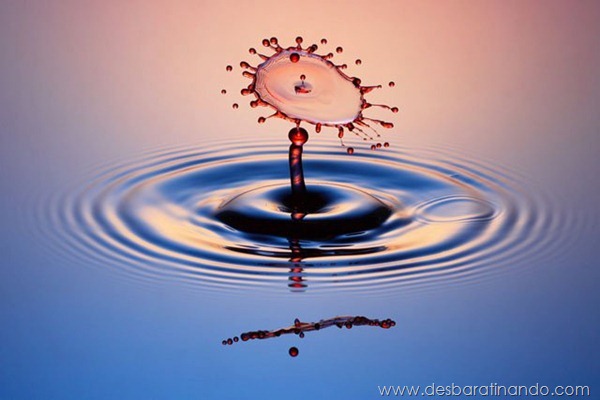 liquid-drop-art-gotas-caindo-foto-velocidade-hora-certa-desbaratinando (94)