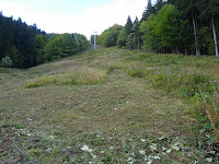 SAM_6466.JPG Photo