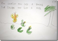 IMG_9888 IMG_9888