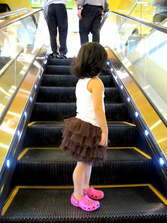 [IMG_7967%255B2%255D.jpg]
