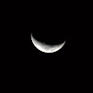 IMG_1149.jpg