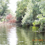 DSCN3000.JPG