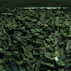 DSCF3197.JPG