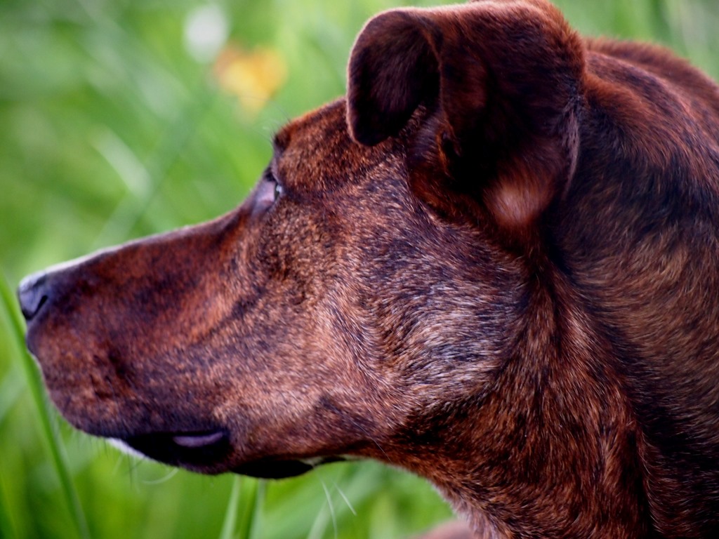 [11%2520July%25206%252031-05-2013%252010-10-30%255B3%255D.jpg]