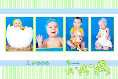 Album (digital) de fotos de Lucca 9 meses de FranMatos Estudio Fotografico, que faz fotografia de gravidas (fotos de gestantes), fotos de bebes, fotos de criancas (fotografia infantil); book fotografico, book infantil, book adulto, book de modelos; festas infantis, batizados, fotos de 15 anos, fotos de casamento, noivados, familia, bebes, 1 ano, criancas, infantil, acompanhamento de gravidas, eventos em geral e fotografia para aplicacao em produtos: bolsas com fotos, quebra cabeca de fotos, calendario de fotos, camisa com fotos, almofadas com fotos, quadro scrapbook e puff com fotos. Atendimento na cidade de Sao Paulo (SP), para todo o estado de Sao Paulo. fotografia infantil de bebês crianças familia gestantes grávidas estúdio fotográfico estudio fotos book albuns fotografos casamento calendarios com