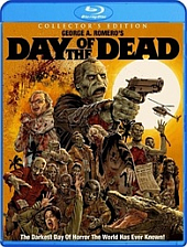 dotd dotd