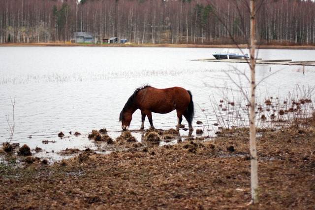 IMG_4256 IMG_4256