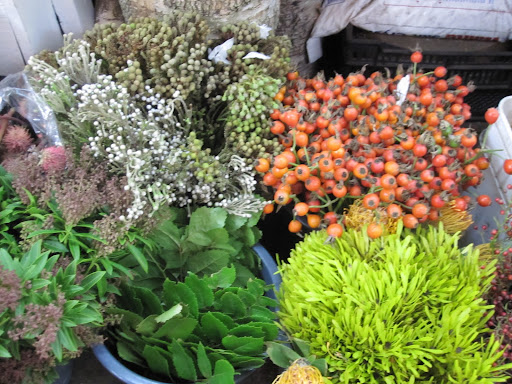 The orange round-shaped plant at the top right is called Rose-Hips.