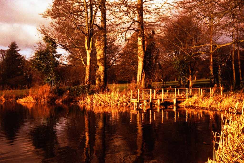 [The-Jetty-13---XPRO3.jpg]