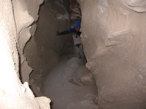 Borrego 035.jpg