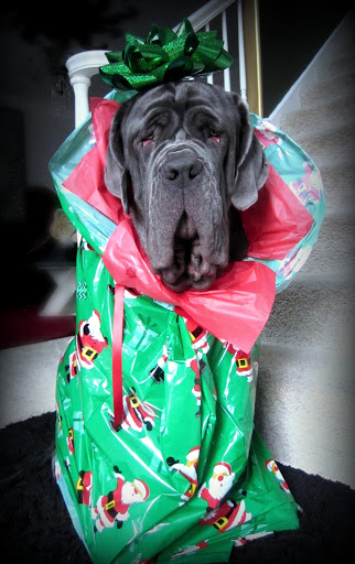 What a great present!