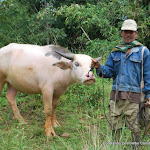 DSC_0710 - Copie.JPG