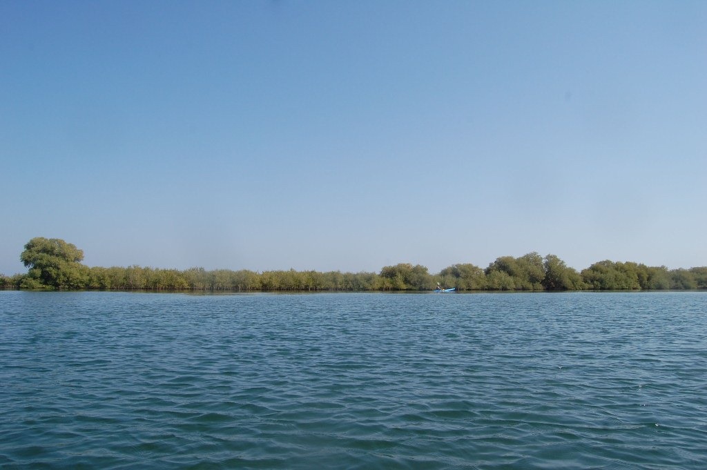 [DSC_1990%255B4%255D.jpg]