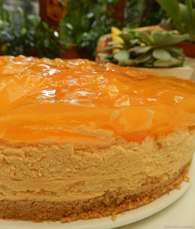 [cheese-cake-abricots27.jpg]