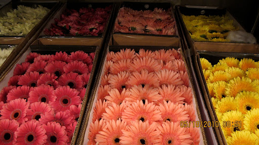Gerbers for miles.