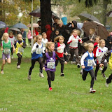2010-11-14 Neerpelt LCC