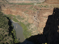 IMAGE_1000000249.JPG