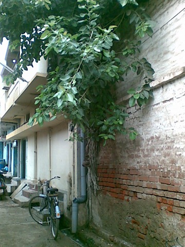 [Image003%255B3%255D.jpg]