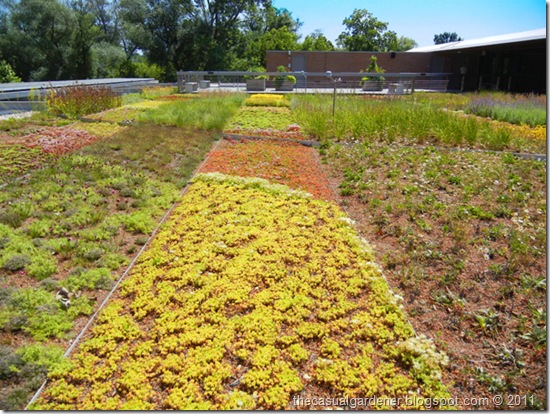 Green roof display at the Chicago Botanic Garden.