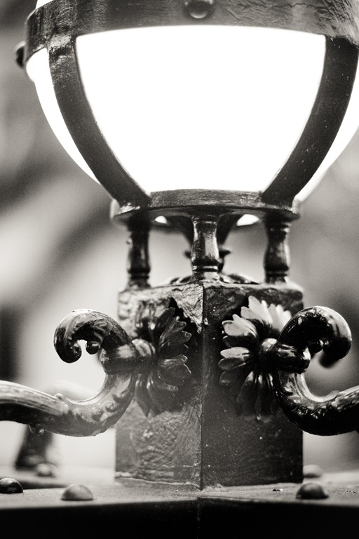 [20121219-IMG_53853.jpg]