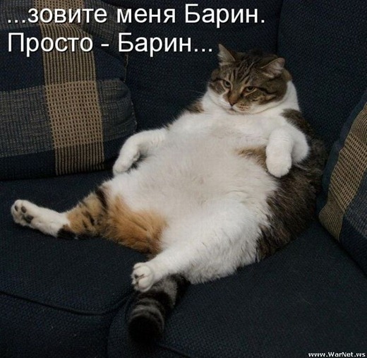 [clip_image006%255B3%255D.jpg]
