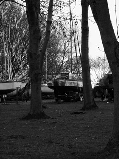 IMGP0222