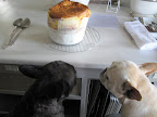 Are you going to wait and serve it when Martha gets home?