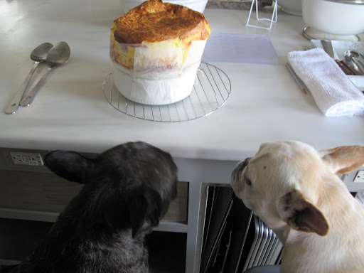 Are you going to wait and serve it when Martha gets home?