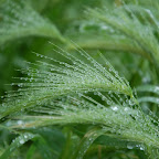 DSC_8857.JPG