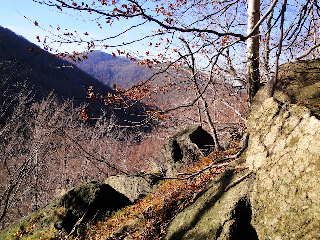 DSC08143.JPG