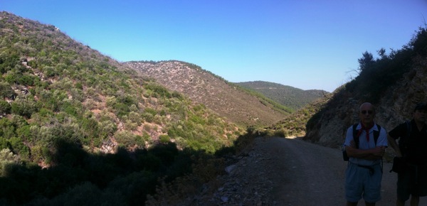 Hills Around Pedesa