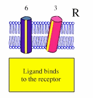 3_6_rotation.gif 3 6 rotation