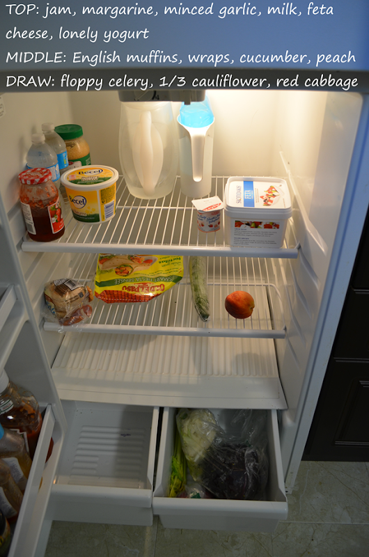 Empty Fridge.png Empty Fridge.png