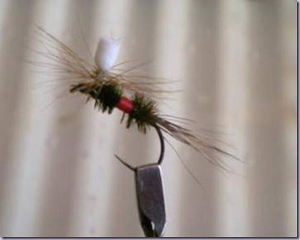 clip_image030 clip_image030