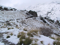 IMG_5290.JPG