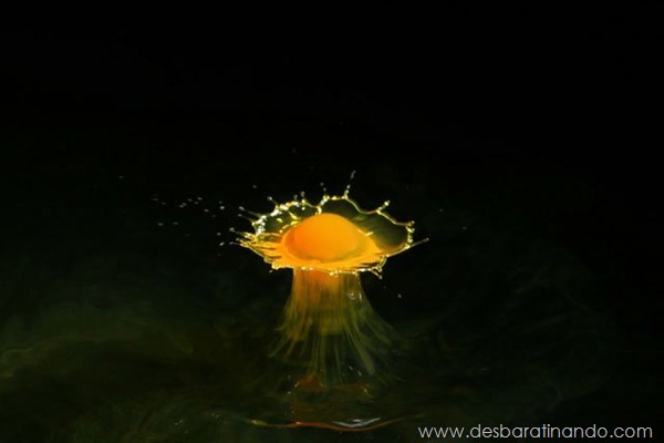 liquid-drop-art-gotas-caindo-foto-velocidade-hora-certa-desbaratinando (36) liquid-drop-art-gotas-caindo-foto-velocidade-hora-certa-desbaratinando (36)