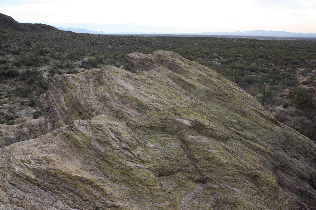 [saguaro%2520park-hike%2520082%255B4%255D.jpg]