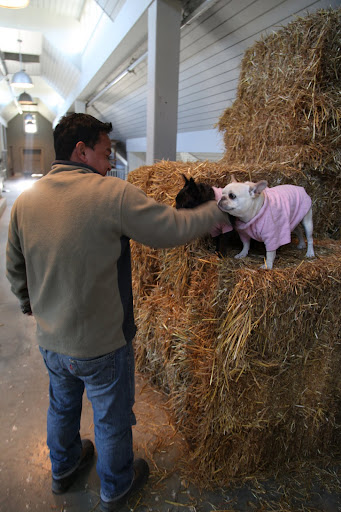 Hi, Gyurme.  You and guys sure stack hay fast!
