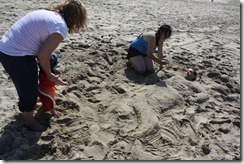 IMG_0531 IMG_0531