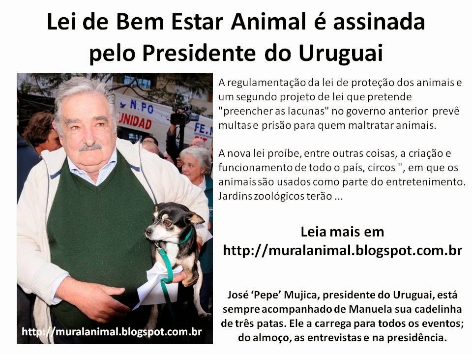 [Lei%2520de%2520Bem%2520Estar%2520Animal%2520%25C3%25A9%2520assinada%255B3%255D.jpg]