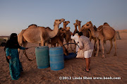Al Hijla Bedouin Village, Marib
