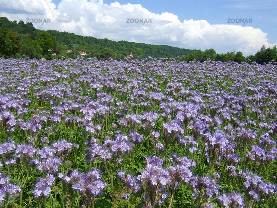 [10_56eaefb4a7edc00b5133c0f74dfb5e53%255B2%255D.jpg]